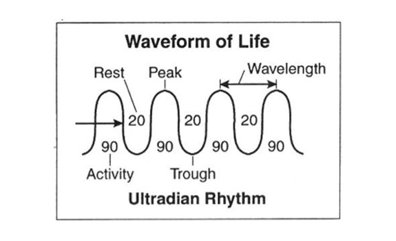 Waveform of Life