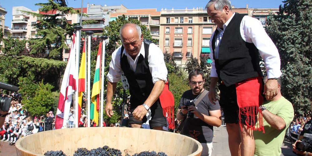 Stomping grapes at the Rioja Wine Festival