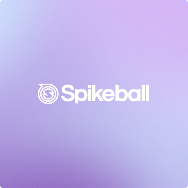 Blog Roll Image Spikeball
