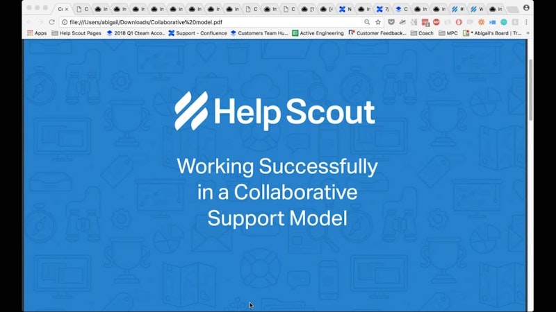 Working Successfully in a Collaborative Support Model