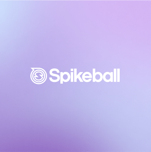 Embed - Testimonial - Spikeball
