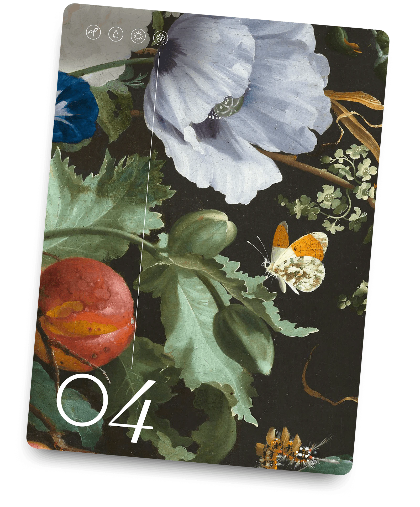 SIB-challenge-04-card