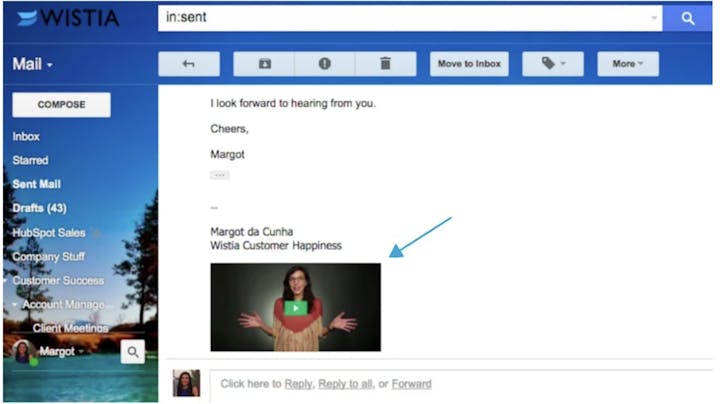 17 Great Customer Service Examples to Inspire You (Wistia)