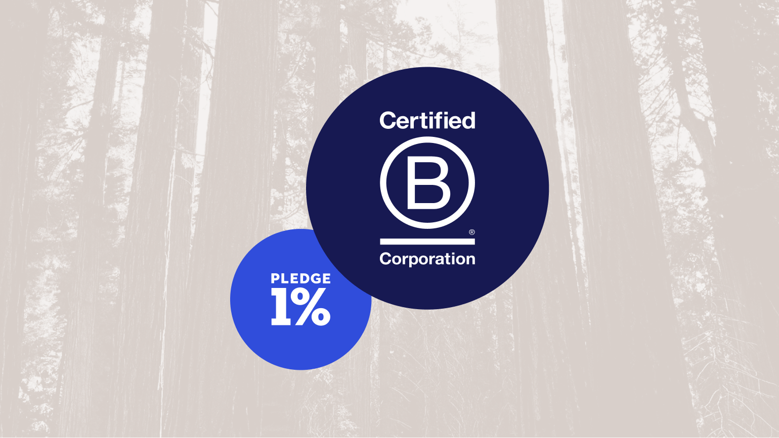 HSFG BCorp